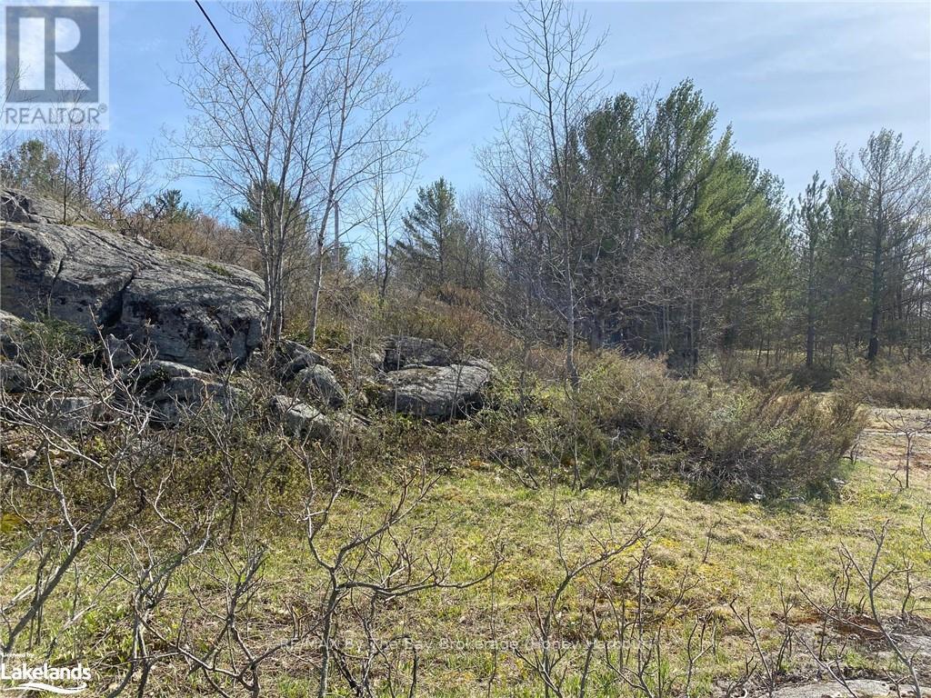 58 Lodge Road, Georgian Bay, Ontario  L0K 1S0 - Photo 6 - X10902777