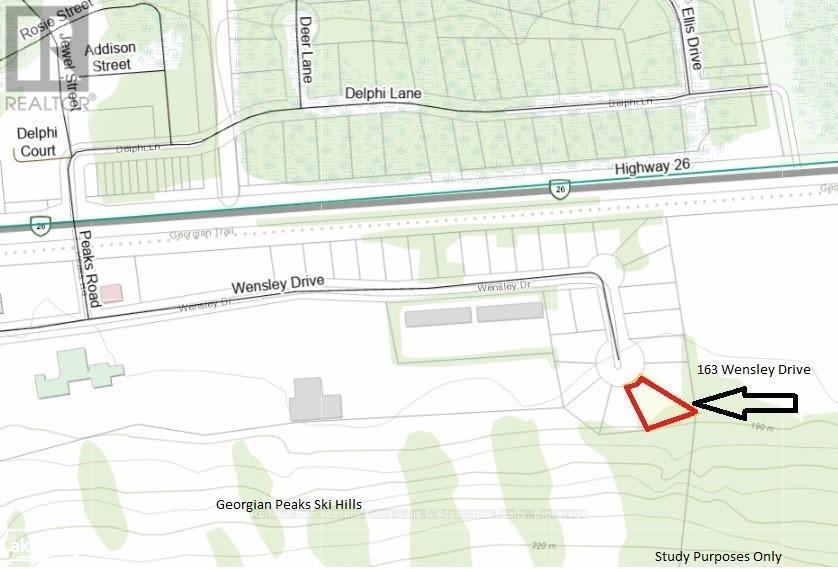 163 Wensley Drive, Blue Mountains, Ontario  N0H 1J0 - Photo 6 - X10895013