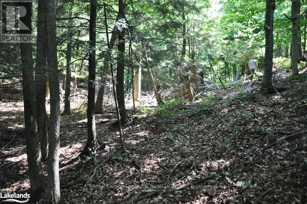 Lot 21 Bayshore Road, Meaford, Ontario  N0H 1B0 - Photo 16 - X10902644