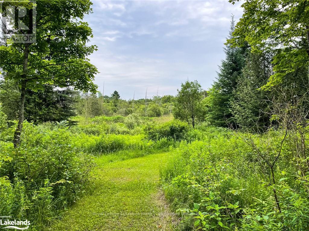 545413 4a Side Road, Grey Highlands, Ontario  N0C 1H0 - Photo 36 - X10895595