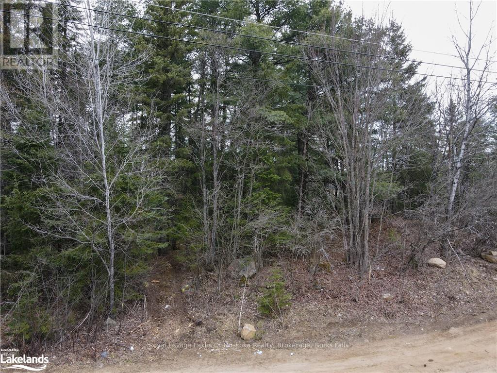 Lot 1 - 0 Old Muskoka Road, Perry, Ontario  P0A 1J0 - Photo 6 - X10894721