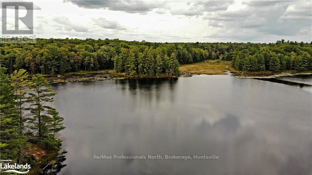Lot 9 Concession 5, Lake Of Bays, Ontario  P0B 1A0 - Photo 10 - X10895017