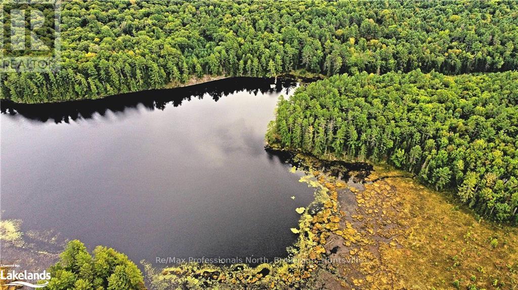 Lot 9 Concession 5, Lake Of Bays, Ontario  P0B 1A0 - Photo 14 - X10895017