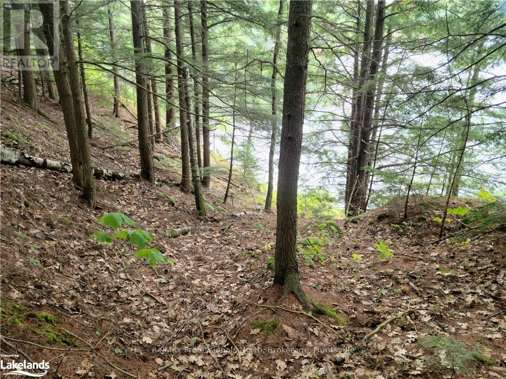 Lot 9 Concession 5, Lake Of Bays, Ontario  P0B 1A0 - Photo 16 - X10895017