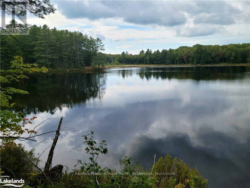 Lot 9 Concession 5, Lake Of Bays, Ontario  P0B 1A0 - Photo 17 - X10895017