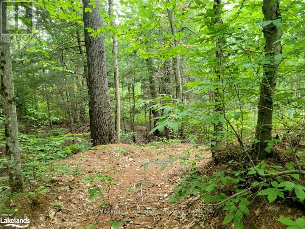 Lot 9 Concession 5, Lake Of Bays, Ontario  P0B 1A0 - Photo 22 - X10895017