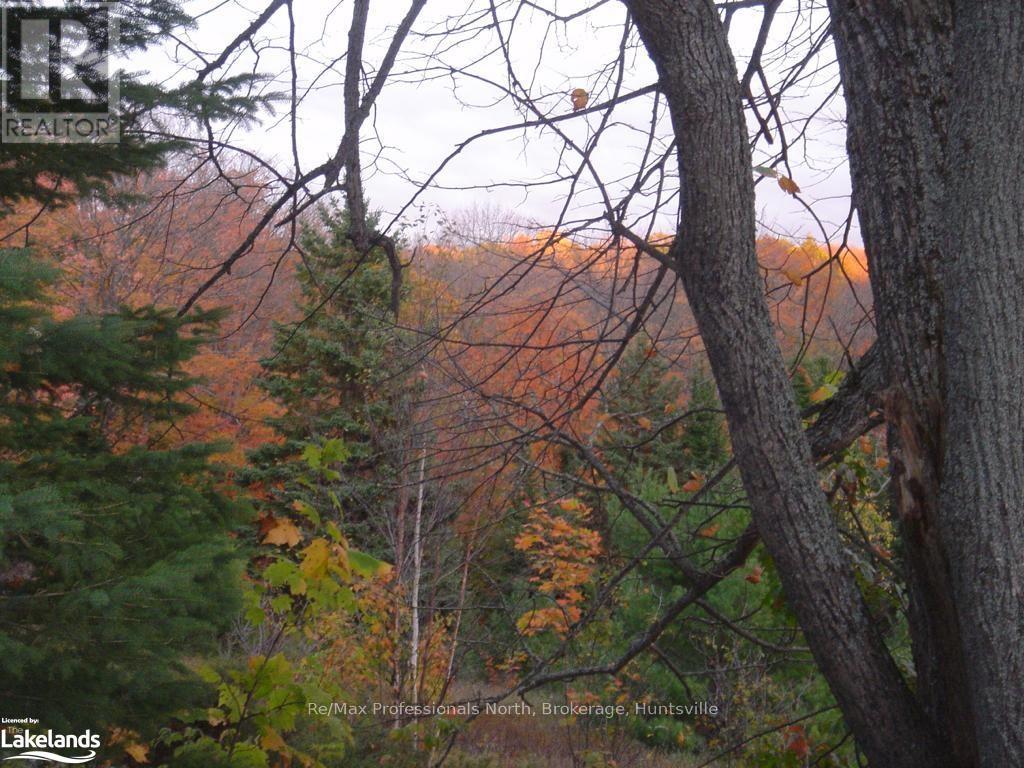 Lot 9 Concession 5, Lake Of Bays, Ontario  P0B 1A0 - Photo 29 - X10895017