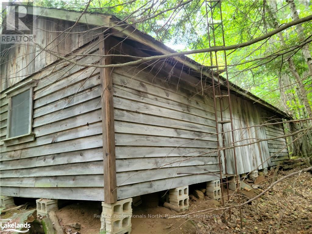 Lot 9 Concession 5, Lake Of Bays, Ontario  P0B 1A0 - Photo 8 - X10895017