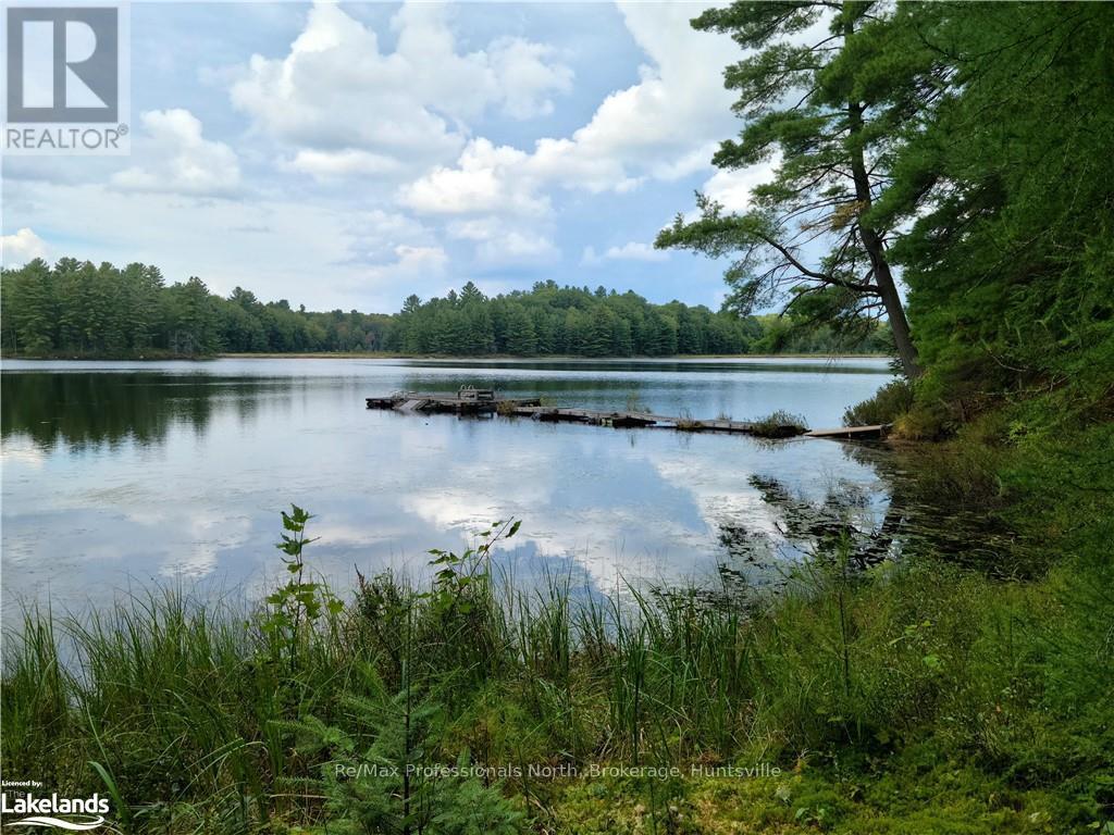 Lot 9 Concession 5, Lake Of Bays, Ontario  P0B 1A0 - Photo 9 - X10895017