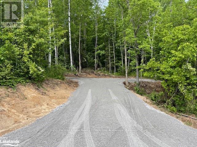 00 Highway 534, Parry Sound Remote Area, Ontario  P0H 2R0 - Photo 1 - X10896288