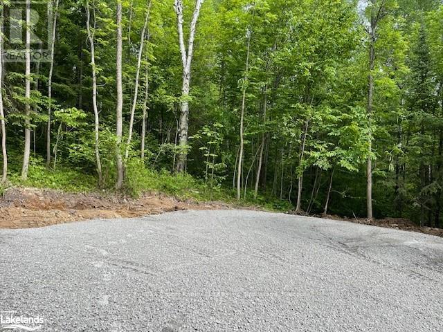 00 Highway 534, Parry Sound, Ontario  P0H 2R0 - Photo 4 - X10896288