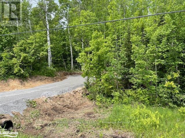 00 Highway 534, Parry Sound, Ontario  P0H 2R0 - Photo 5 - X10896288