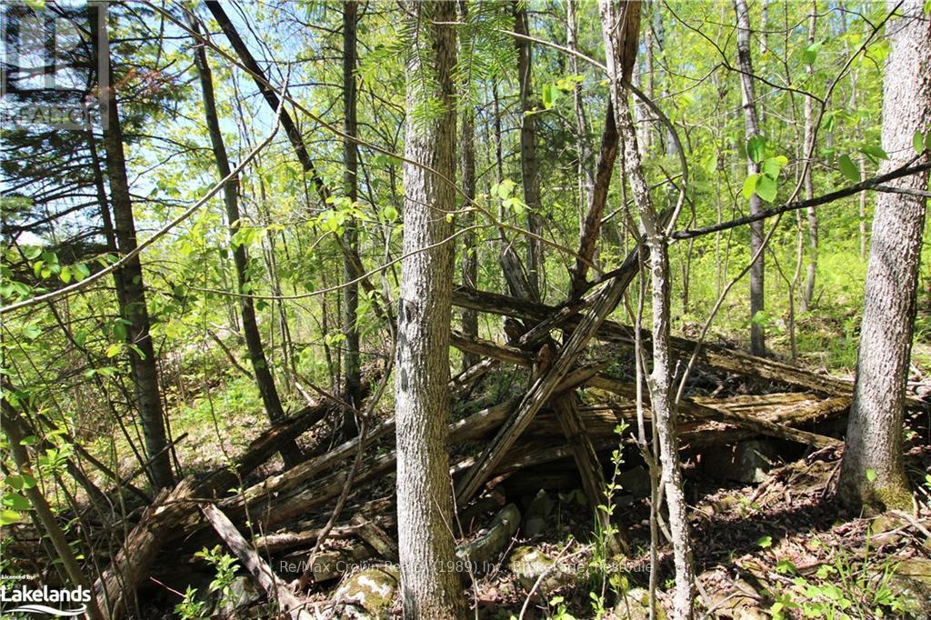 00 Highway 534, Parry Sound, Ontario  P0H 2R0 - Photo 6 - X10896288