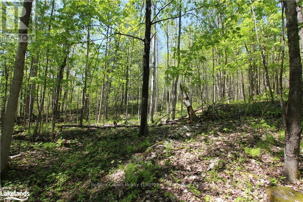 00 Highway 534, Parry Sound, Ontario  P0H 2R0 - Photo 7 - X10896288