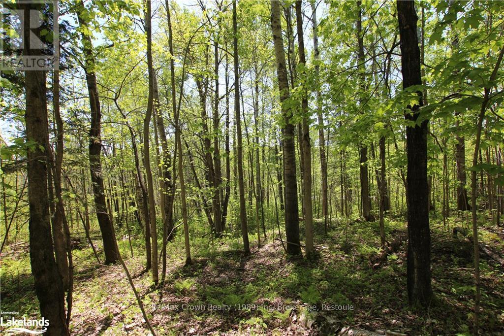 00 Highway 534, Parry Sound, Ontario  P0H 2R0 - Photo 8 - X10896288