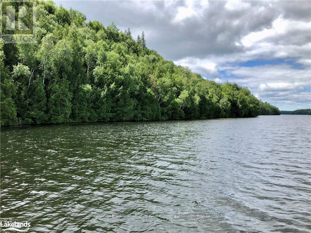 Lot 13 Little Long, Parry Sound Remote Area, Ontario  P0H 1S0 - Photo 10 - X10897511