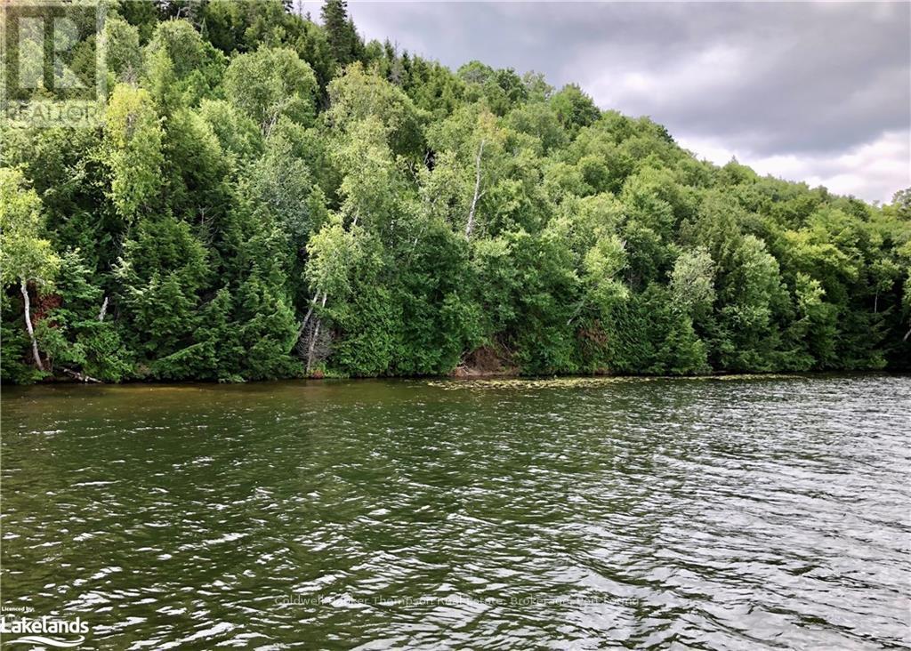 Lot 13 Little Long, Parry Sound Remote Area, Ontario  P0H 1S0 - Photo 11 - X10897511
