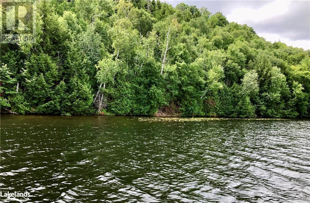 Lot 13 Little Long, Parry Sound Remote Area, Ontario  P0H 1S0 - Photo 2 - X10897511