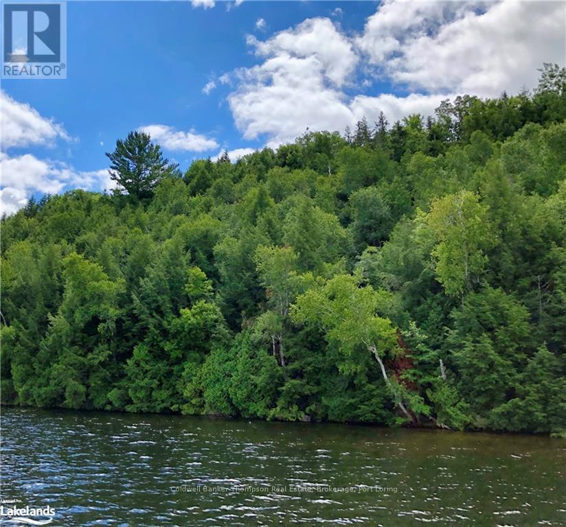 Lot 13 Little Long, Parry Sound Remote Area, Ontario  P0H 1S0 - Photo 3 - X10897511
