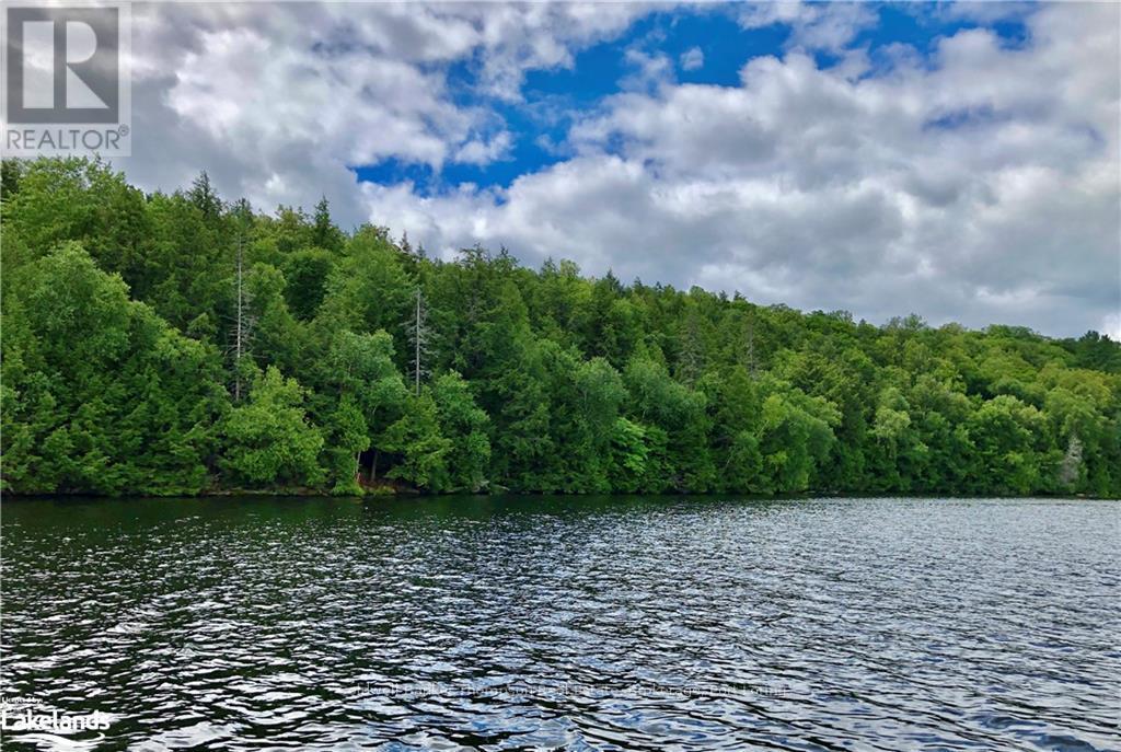 Lot 13 Little Long, Parry Sound Remote Area, Ontario  P0H 1S0 - Photo 5 - X10897511