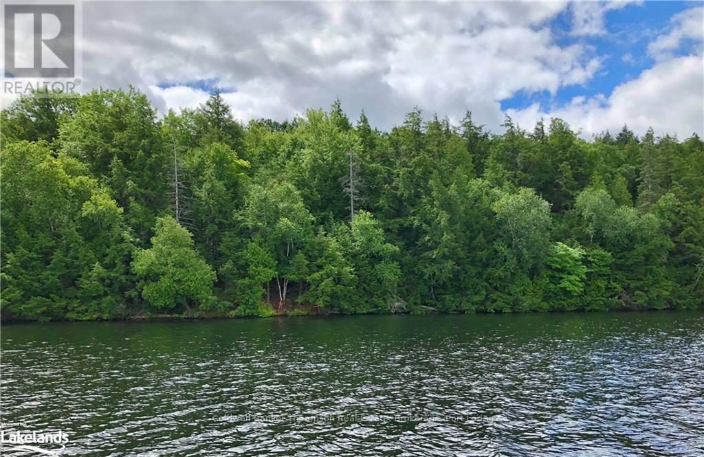 Lot 13 Little Long, Parry Sound Remote Area, Ontario  P0H 1S0 - Photo 8 - X10897511