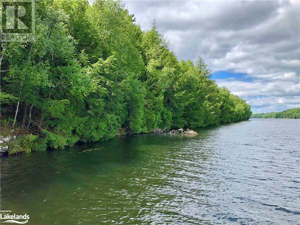 Lot 13 Little Long, Parry Sound Remote Area, Ontario  P0H 1S0 - Photo 9 - X10897511