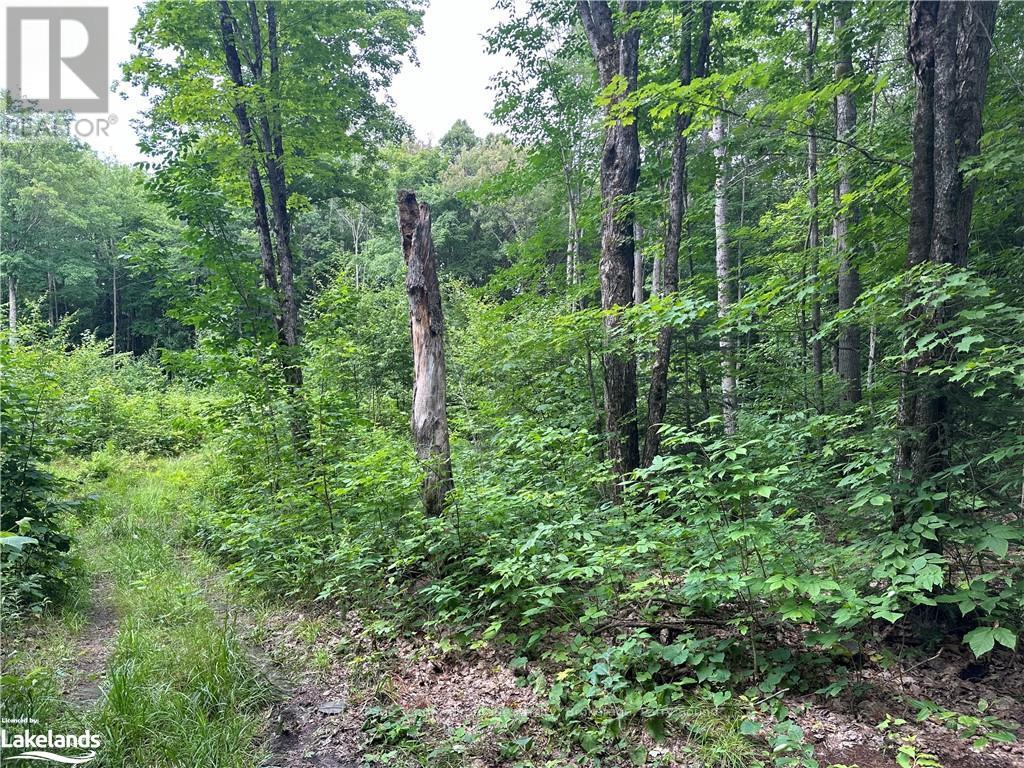 54 Woods Road, Carling, Ontario  P0G 1G0 - Photo 10 - X10899541