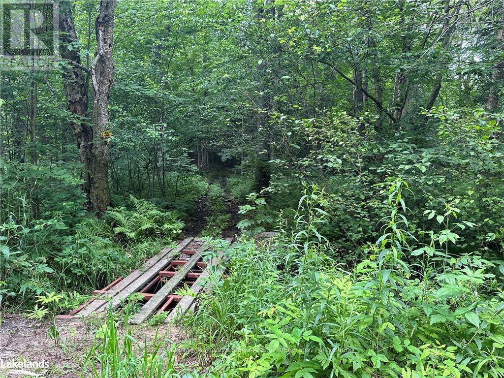 54 Woods Road, Carling, Ontario  P0G 1G0 - Photo 6 - X10899541