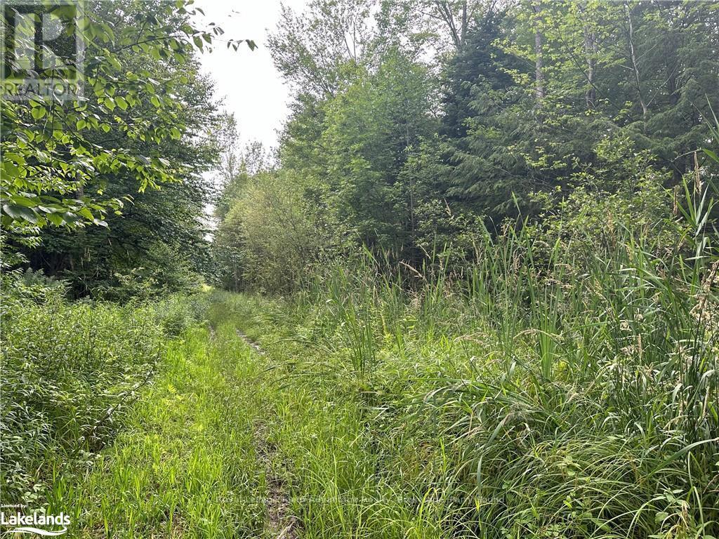 54 Woods Road, Carling, Ontario  P0G 1G0 - Photo 7 - X10899541