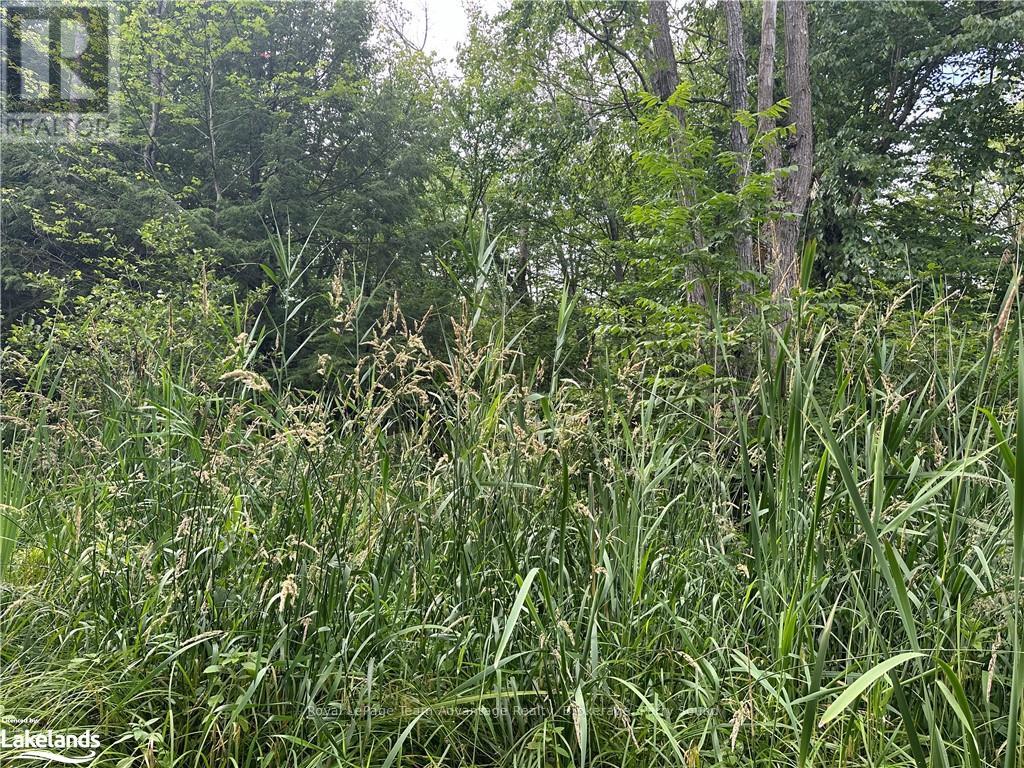 54 Woods Road, Carling, Ontario  P0G 1G0 - Photo 8 - X10899541