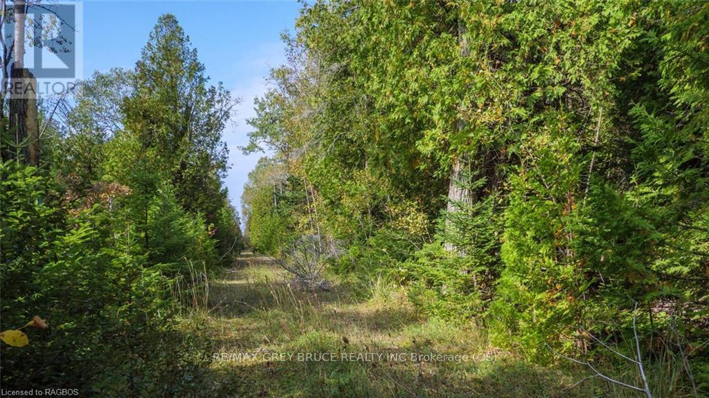 97 Devils Glen Road, Northern Bruce Peninsula, Ontario  N0H 2T0 - Photo 10 - X11880046