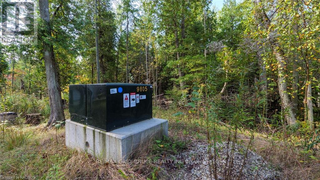 97 Devils Glen Road, Northern Bruce Peninsula, Ontario  N0H 2T0 - Photo 11 - X11880046