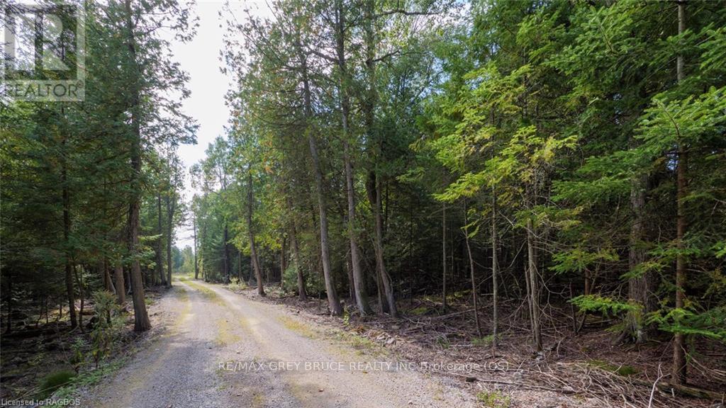 97 Devils Glen Road, Northern Bruce Peninsula, Ontario  N0H 2T0 - Photo 8 - X11880046