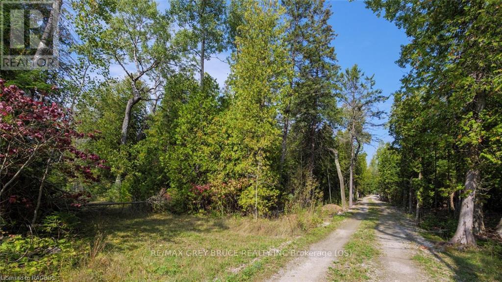 97 Devils Glen Road, Northern Bruce Peninsula, Ontario  N0H 2T0 - Photo 9 - X11880046