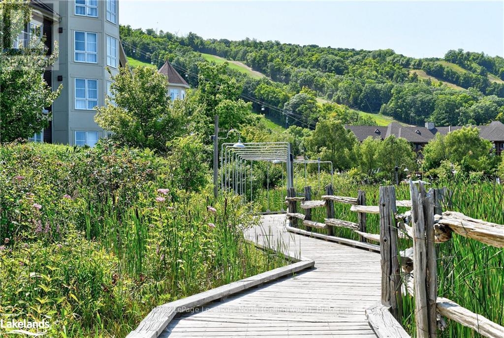 164 - 220 Gord Canning Drive, Blue Mountains, Ontario  L9Y 0V9 - Photo 18 - X10896840