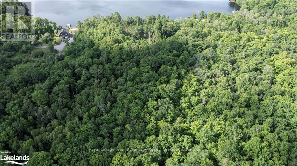 Lot 29 Farleys Road, Whitestone, Ontario  P0A 1G0 - Photo 19 - X10898722