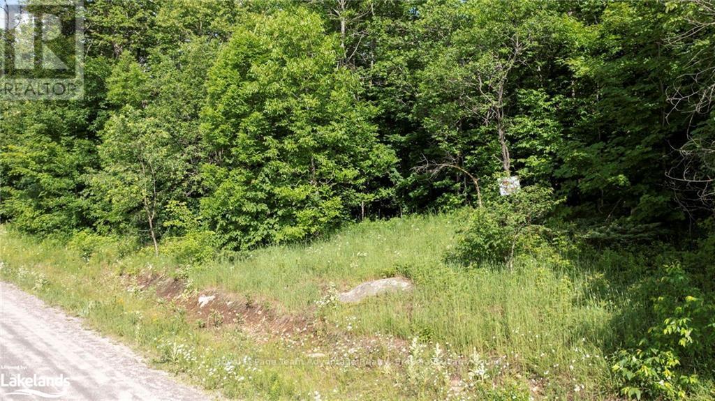 Lot 29 Farleys Road, Whitestone, Ontario  P0A 1G0 - Photo 3 - X10898722