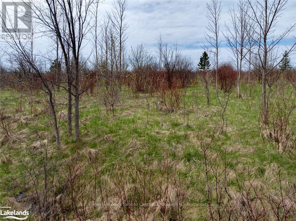 110 Dinsmore Street, Meaford, Ontario  N0H 2P0 - Photo 4 - X10897223