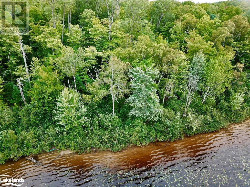 686 East Fox Lake Road, Huntsville, Ontario  P1H 2J2 - Photo 3 - X10894406