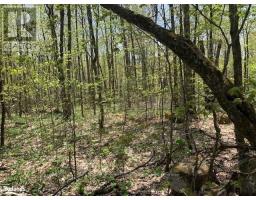 2376 SOUTH HORN LAKE ROAD, Ryerson, Ontario