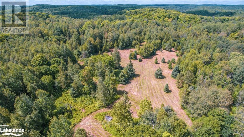 2368 Essonville Line, Highlands East, Ontario  K0L 3C0 - Photo 10 - X10903109