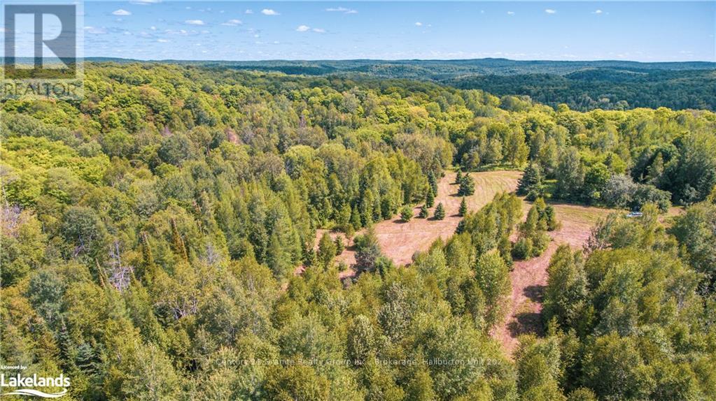 2368 Essonville Line, Highlands East, Ontario  K0L 3C0 - Photo 11 - X10903109