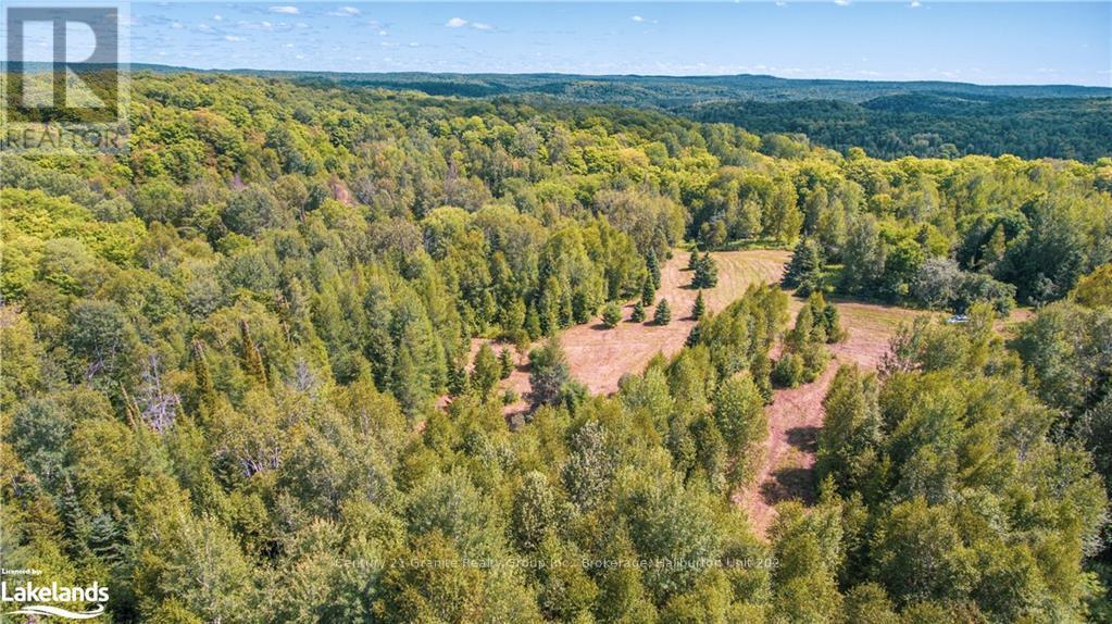 2368 Essonville Line, Highlands East, Ontario  K0L 3C0 - Photo 12 - X10903109