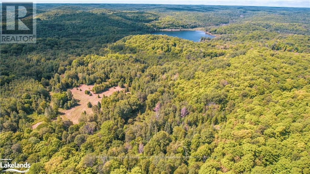 2368 Essonville Line, Highlands East, Ontario  K0L 3C0 - Photo 13 - X10903109