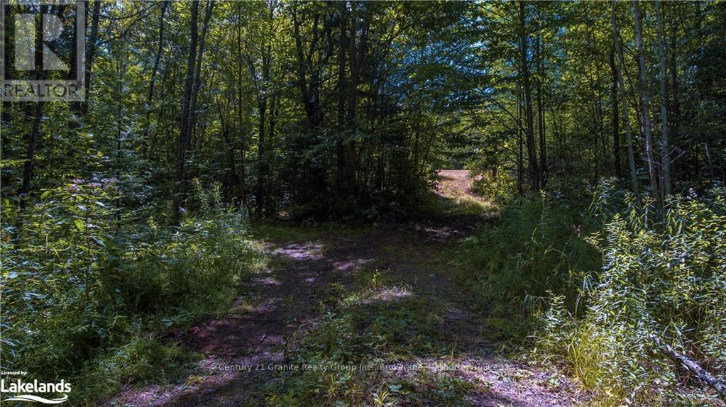 2368 Essonville Line, Highlands East, Ontario  K0L 3C0 - Photo 15 - X10903109