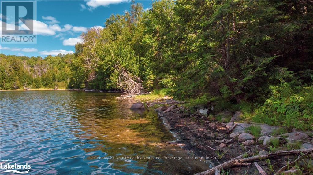 2368 Essonville Line, Highlands East, Ontario  K0L 3C0 - Photo 16 - X10903109