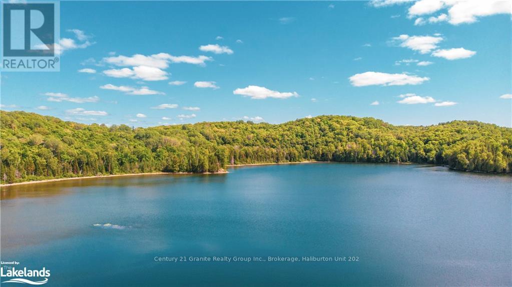 2368 Essonville Line, Highlands East, Ontario  K0L 3C0 - Photo 2 - X10903109