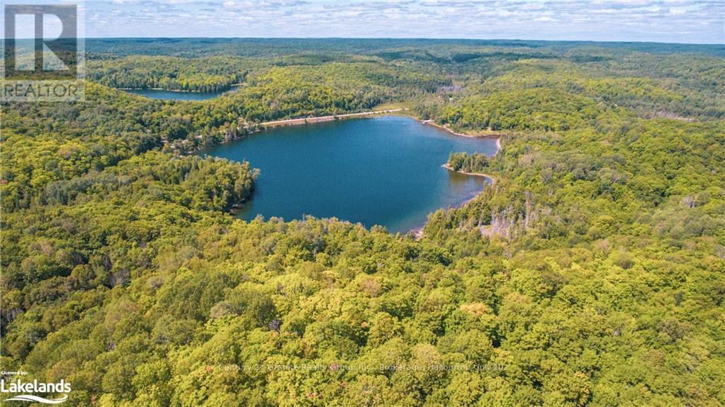 2368 Essonville Line, Highlands East, Ontario  K0L 3C0 - Photo 4 - X10903109