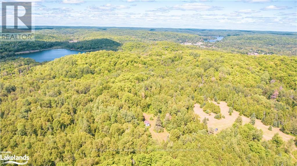 2368 Essonville Line, Highlands East, Ontario  K0L 3C0 - Photo 8 - X10903109