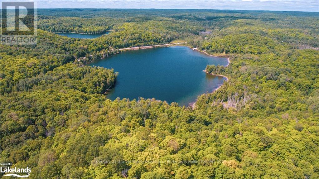 2368 Essonville Line, Highlands East, Ontario  K0L 3C0 - Photo 9 - X10903109